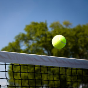 Tennis net and ball