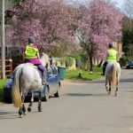 Riding horse on road